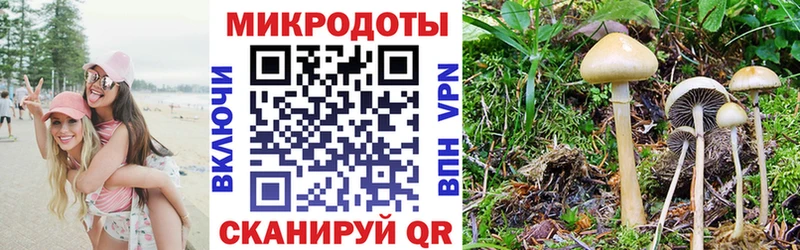 hydra tor  Пойковский  Галлюциногенные грибы мухоморы 